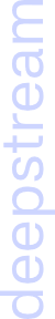 Deepstream Text Logo